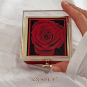 Wieczna Róża Rosely + naszyjnik