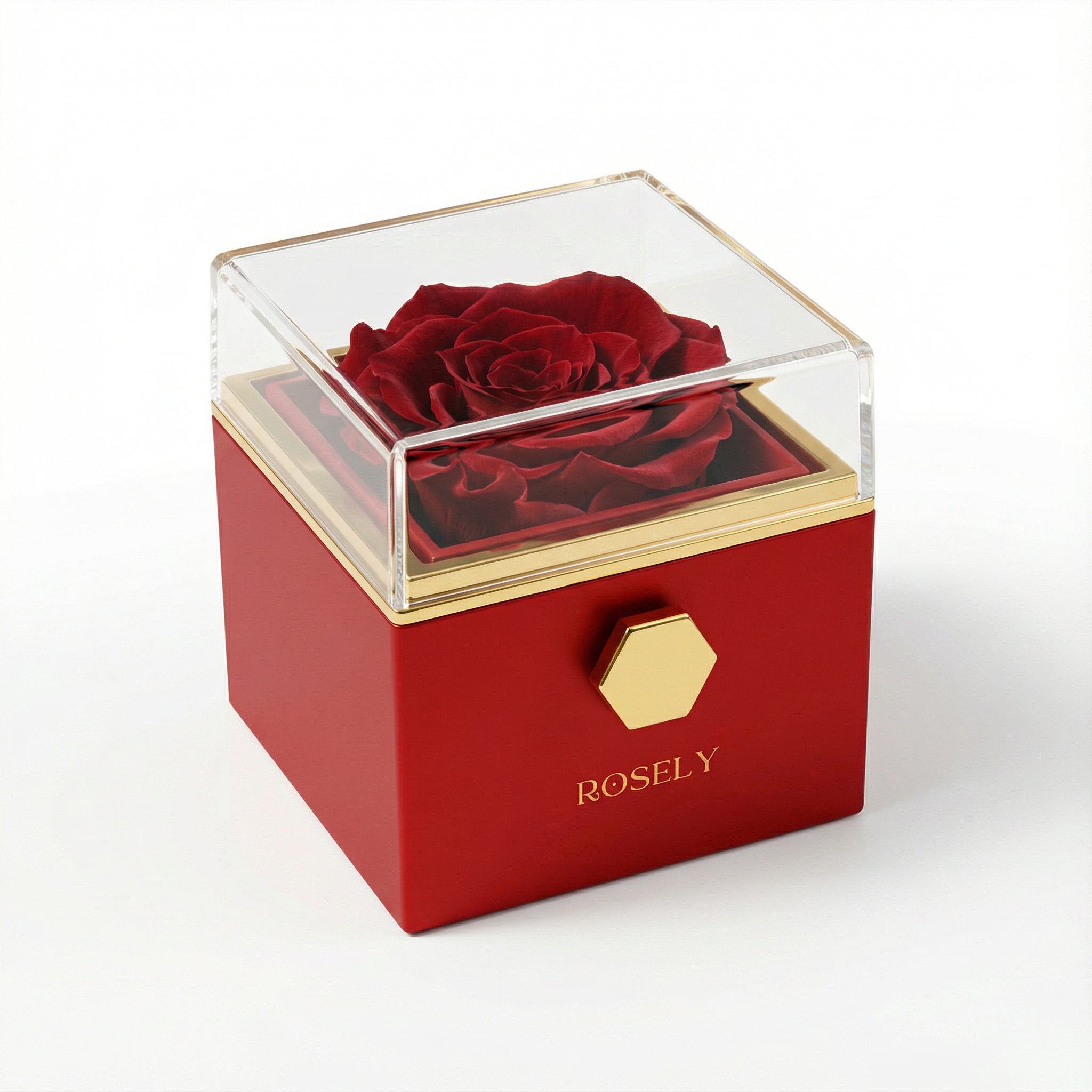 Wieczna Róża Rosely + naszyjnik