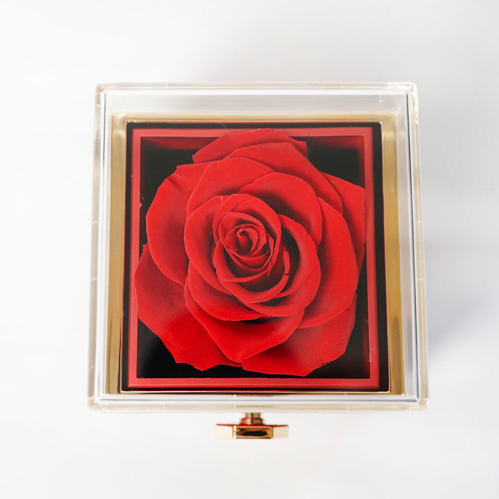 Wieczna Róża Rosely + naszyjnik