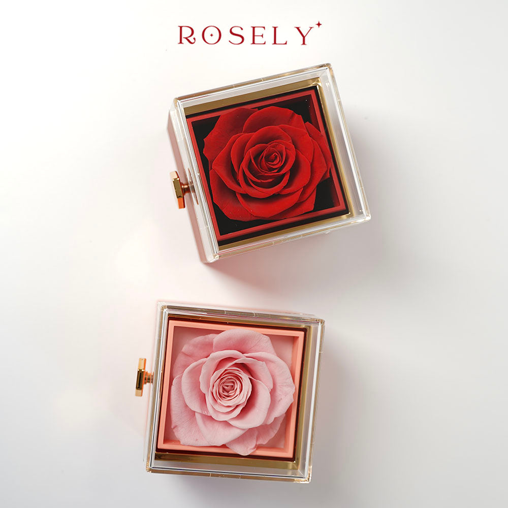 Wieczna Róża Rosely + naszyjnik